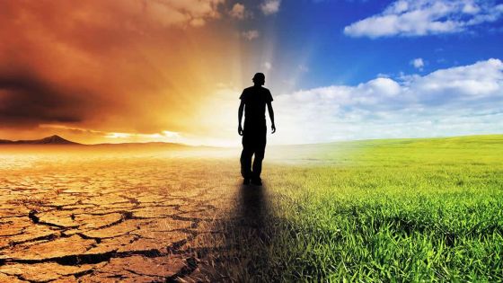 Changement climatique: ces vagues de chaleur qui font froid dans le dos