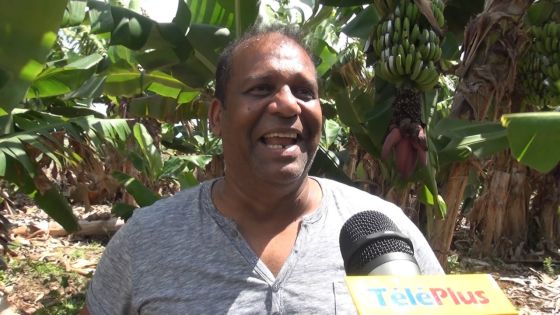 Touche pas à mes bananes