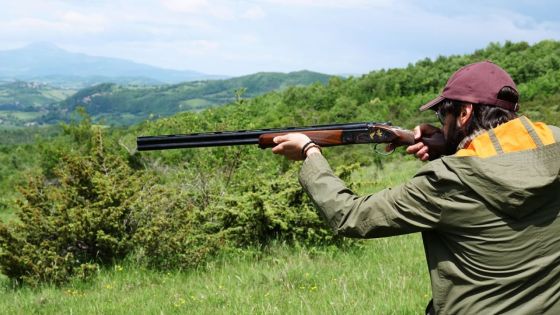 Quand la chasse se démocratise