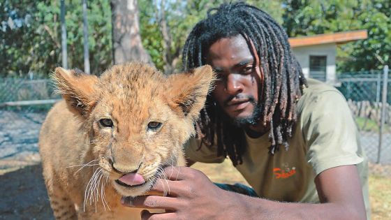 Jason Martin : l’homme qui murmure à l’oreille des lions