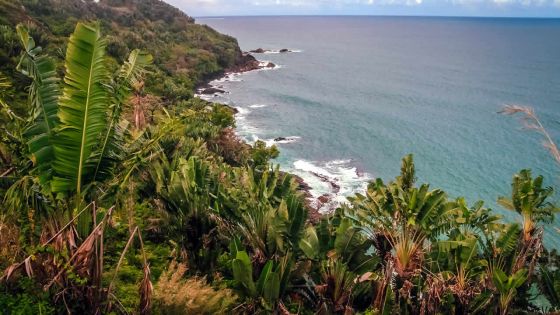 Trois pêcheurs mauriciens dérivent vers Madagascar - Alan Utile : «Nous avons frôlé la mort à deux reprises»