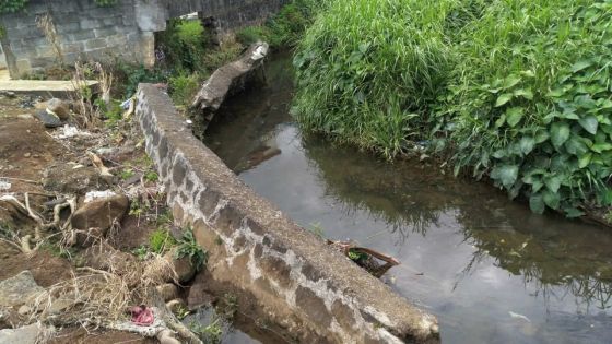 Municipalité de Vacoas/Phoenix : la chute d’un mur jouxtant la rivière de Mesnil provoque des débordements