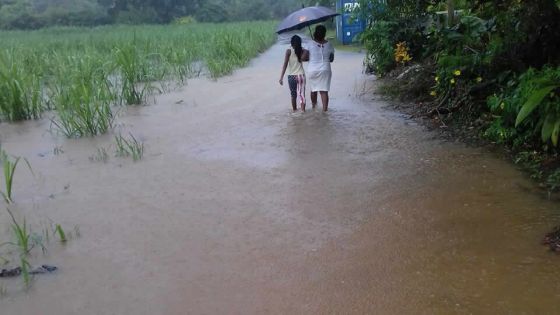 Météo : grosses averses, accumulations d’eau et encore de la pluie ce lundi 