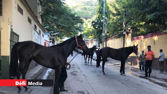 Hippisme : Les employés du MTC toujours en attente de leur salaire