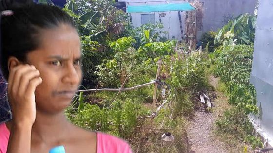 Cinq jours après son accouchement : une femme de 22 ans arrêtée pour culture de cannabis