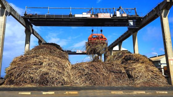 L’octroi de terres : les 98 ex-employés de Medine attendent toujours leur contrat