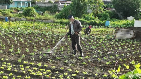 Récession, pénurie d’eau, inflation…Une année jonchée de défis pour les producteurs locaux 