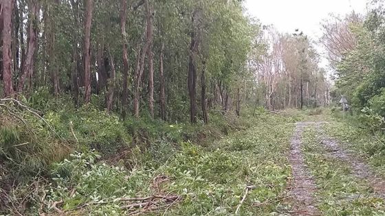 Cyclone Gelena : l'alerte cyclonique levée ; 139 personnes dans les centres de refuge