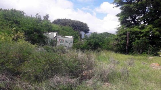 Campagne nationale de nettoyage : les propriétaires de terrains en friche à la traque