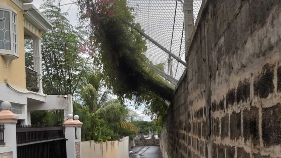 Collège Royal de Port-Louis : une barrière qui menace de s’effondrer