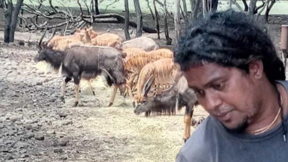 Confinement : les animaux de Casela Nature Parks obtiennent leur nourriture et leurs soins