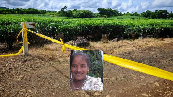 À Bois-Chéri : Anila Khadoo sauvagement assassinée dans un champ de thé