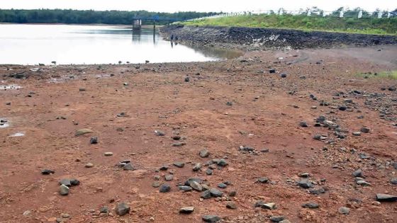 Déficit pluviométrique : Mare-aux-Vacoas et La Ferme peinent à se remplir