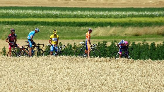 L'urine humaine, un engrais inattendu, mais efficace et moins polluant, selon des chercheurs