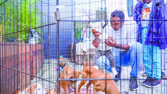 Journée d’adoption à PetStore : des centaines de Mauriciens mobilisés