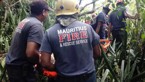 A Balfour : un sexagénaire secouru au fond d’un ravin