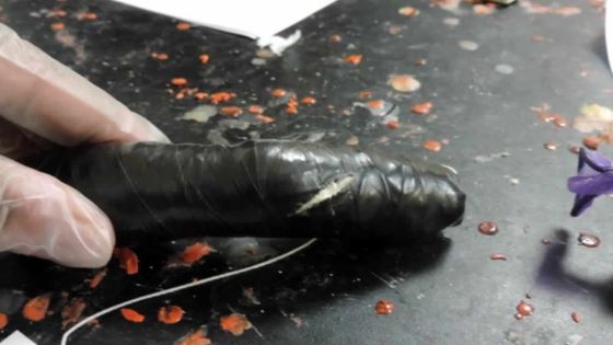 Saisie de 480 grammes d’héroïne : l’Adsu piste un réseau local