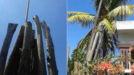 À Poudre-d’Or-Hamlet : Querelle de voisins pour quatre rondins de bois