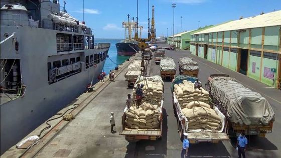 L'Inde livre des médicaments aux îles de l’océan Indien et dépêche une équipe médicale à Maurice