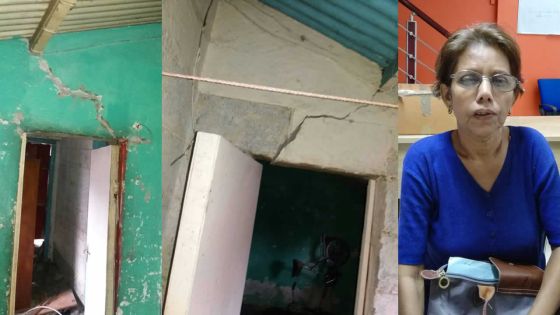 Appel à solidarité : aidez-la à abattre un arbre et à rénover sa maison