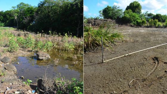 Terrains agricoles sous-loués ou abandonnés : le ministère de l’Agro-industrie passe à l’offensive