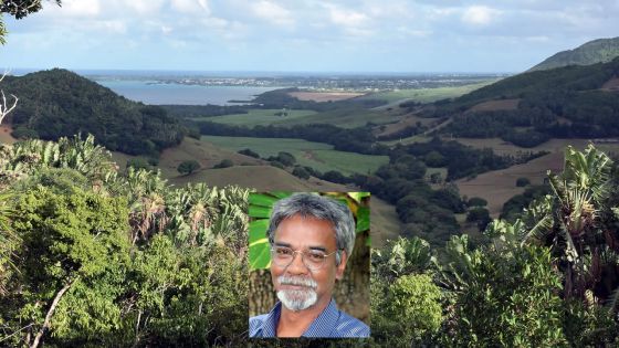 Campagne de reboisement - Malenn Oodiah : «Il y a un tsunami vert provoqué par le projet de société»