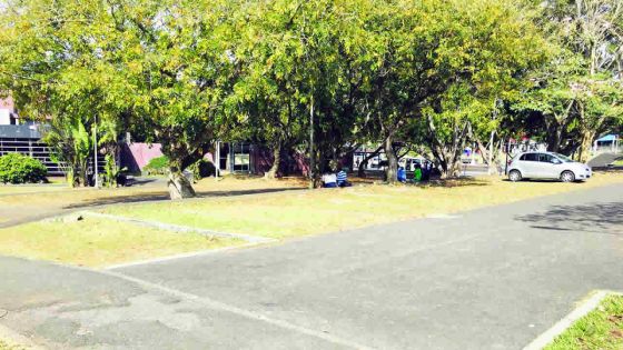 Université de Maurice : les étudiants irrités par le manque de places de stationnement