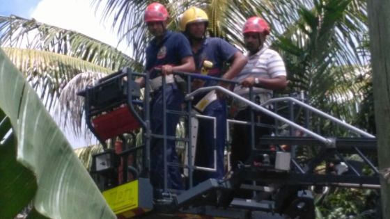 Roches-Brunes : quatre jeunes provoquent une interruption de la fourniture d’eau