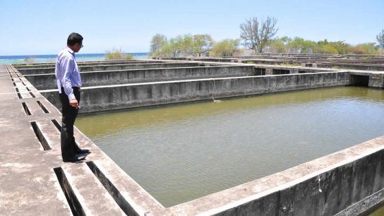 Aquaculture : pour une éclosion de l’économie bleue