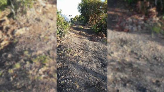 Quand est prévu l’asphaltage ?