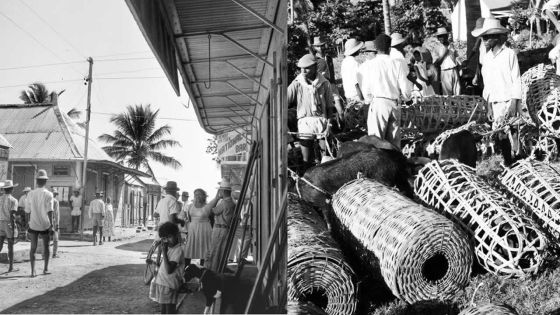 Exposition : Rodrigues prend place au Blue Penny Museum