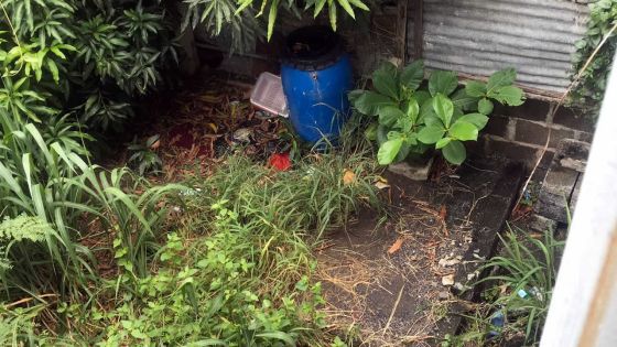 Savanne : le problème des terrains en friche 