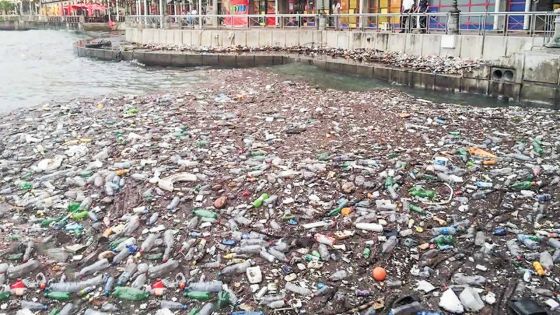 Environnement : la chasse au plastique est ouverte