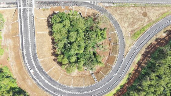 La Vigie : le nouveau flyover en attente d’inauguration