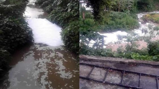 Pollution de l’eau : un problème très grave à Maurice, selon l’expert du ministère des Services publics