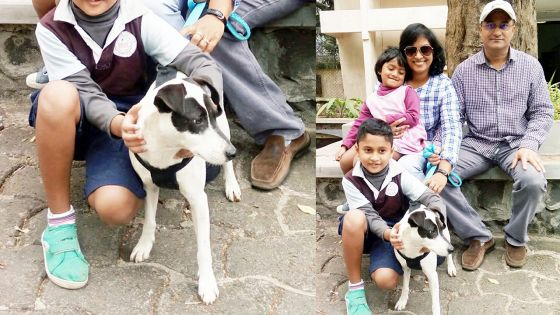 Coup de cœur : Bandit entouré de sa famille