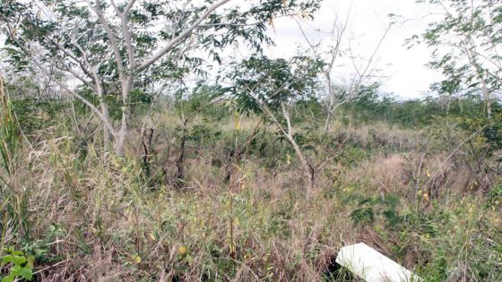 Expropriation des terres : des familles marquées au fer rouge