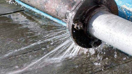 Pourquoi un expatrié de retour au pays a eu le «cœur brisé»