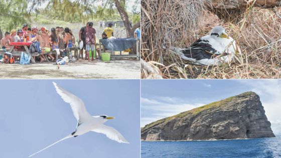Paille-en-queue : la danse des rubans de soie