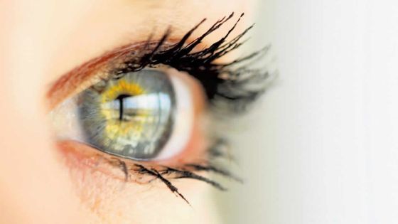 4 aliments pour améliorer la vue