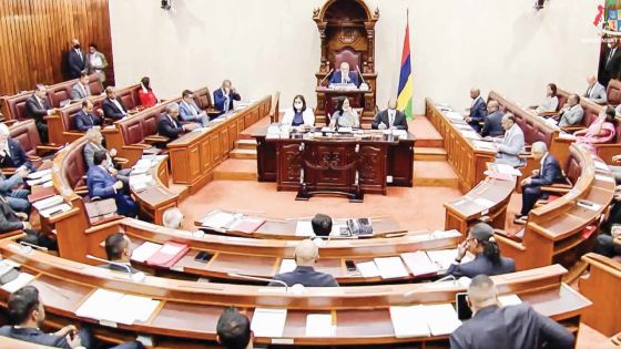 Assemblée nationale : Laurette, Juman et Wakashio au centre des préoccupations