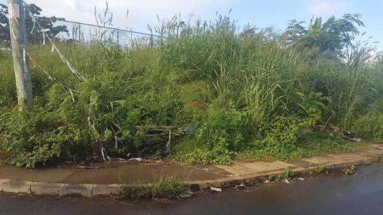 À Calebasses : terrain en friche près de la Cité NHDC