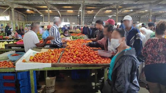 Mercuriale : les prix des légumes restent stables