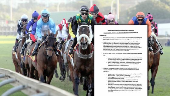 [Document] Courses hippiques : découvrez le rapport intérimaire qui avait disparu dans la nature