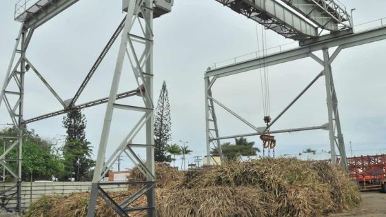 Rose-Belle Sugar Estate : la braderie des terrains au centre d’une enquête de la FCC