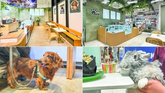 Pet Café by Pet Store : des friandises pour lui, du latte pour vous ! 