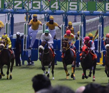 Hippisme: début de la nouvelle saison