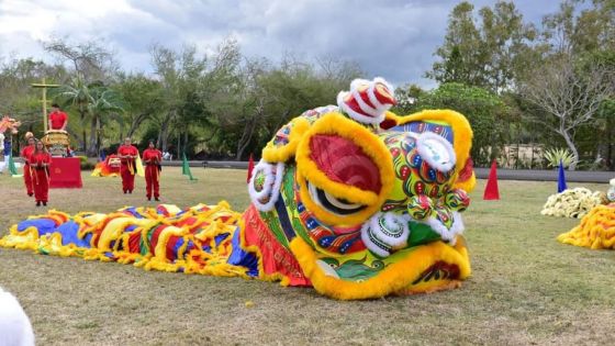 Maululu : Maurice a le plus grand costume de lion en Afrique