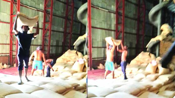 Reprise de la Mauritius Cane Industry Authority : des ‘débardeurs’ craignent pour leur emploi