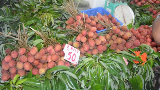 Consommation : hausse des prix des letchis dès la semaine prochaine